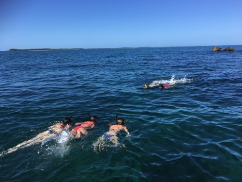 guided family snorkeling tours in northern eleuthera guided family snorkeling tours in northern eleuthera